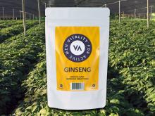 Ginseng voor erectieproblemen